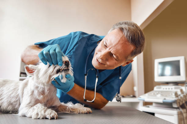 Best Emergency Tooth Extraction in Stanfield, NC