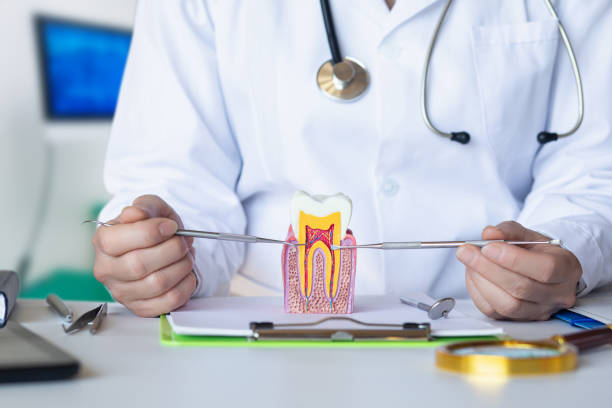 Best After-Hours Emergency Dentist in Stanfield, NC